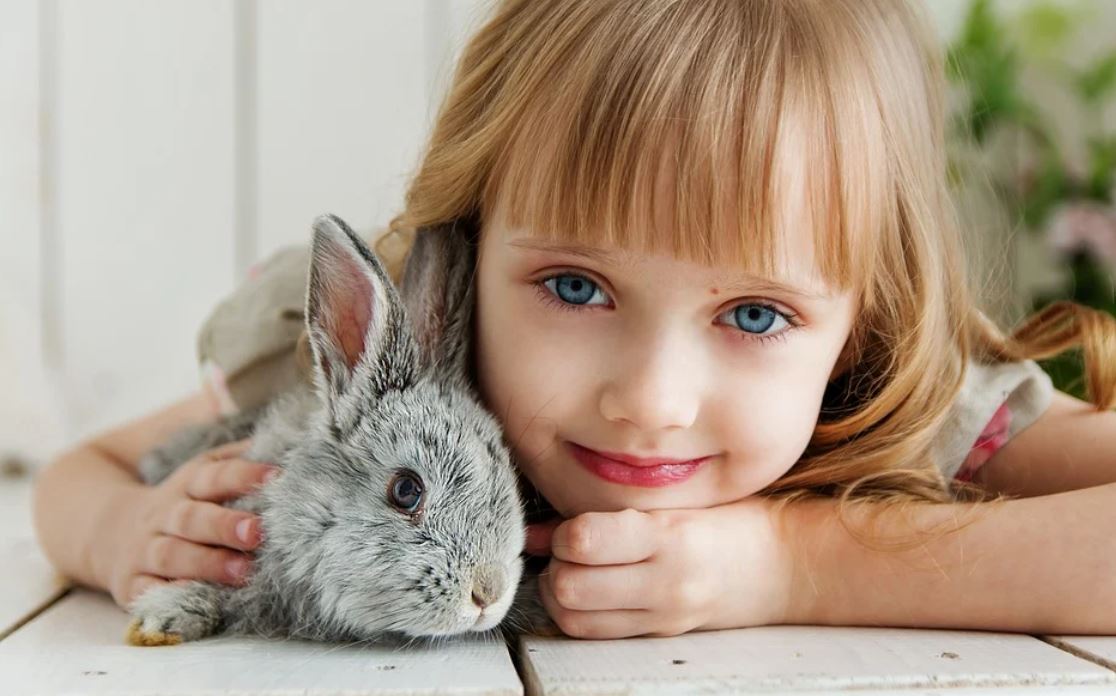 dívka a králík